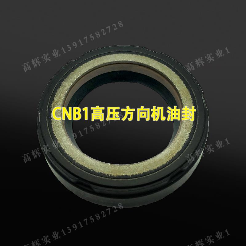 NAK耐压CNB1W11方向机NAK油封大全